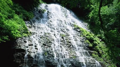 可靠性智能系统高端